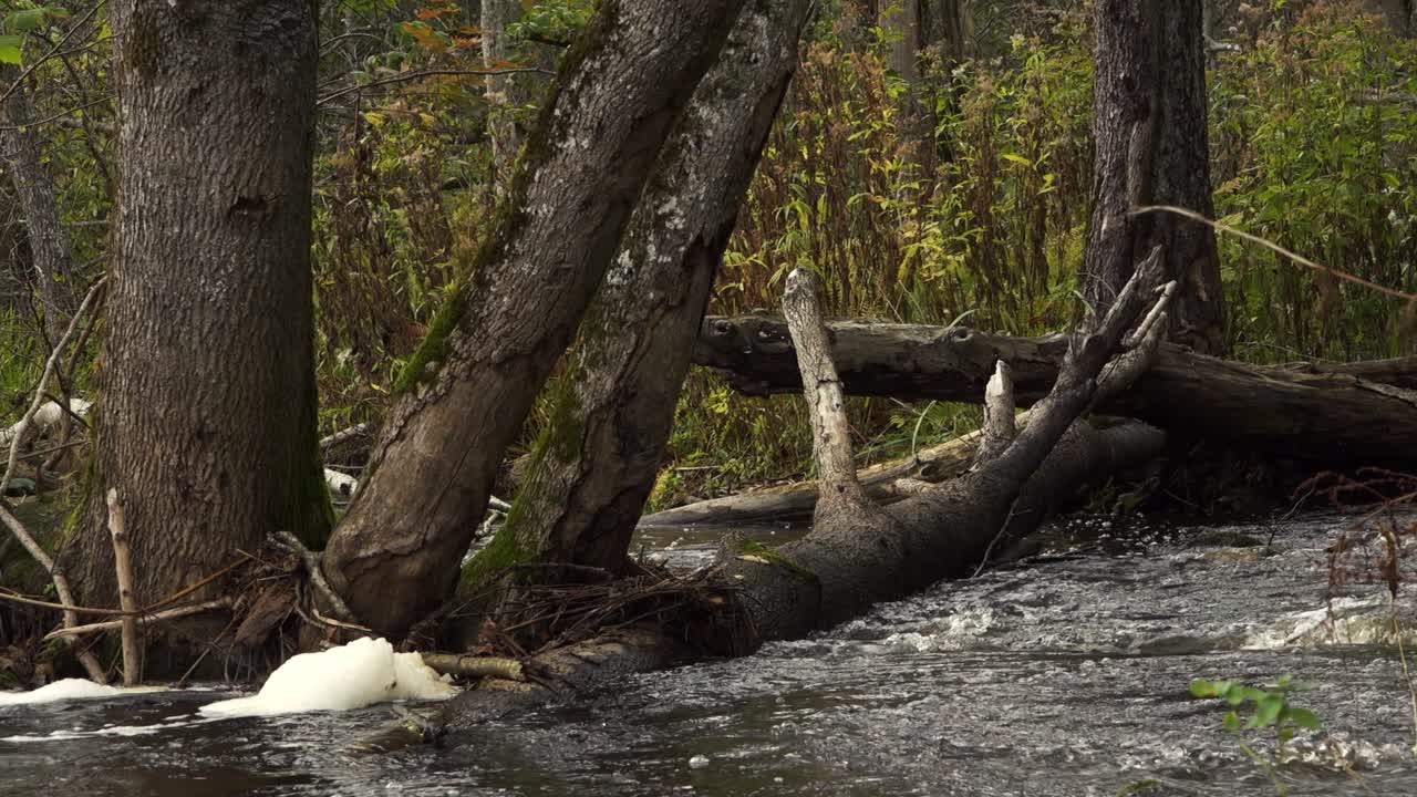 el río está inundado por fuertes lluvias