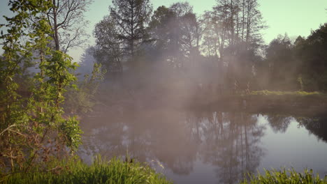 medieval soldiers crossing a pond in a misty forest