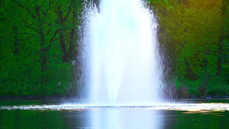 Cascada-Luz-Solar-Salpicar-Naturaleza-árboles,-Flores,-Ramas,-Hermosas-Plantas-Verdosas-En-Pildammsparken-Malmö-Suecia