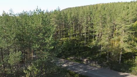 Motorhome-Parked-In-Autumn-Colored-Forest-Park-In-Swedish