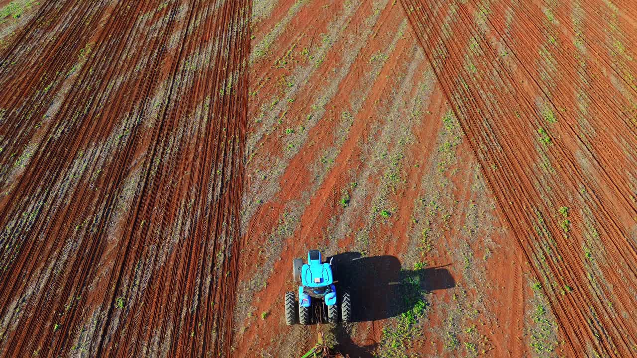 Trattore blu al lavoro lungo le file di un campo di soia (Glycine max) in fase iniziale a Formosa, Goiás, Brasile centro-occidentale, mostrando piante emergenti e spaziatura strutturata delle file, ripresa con drone in ascesa e inseguimento