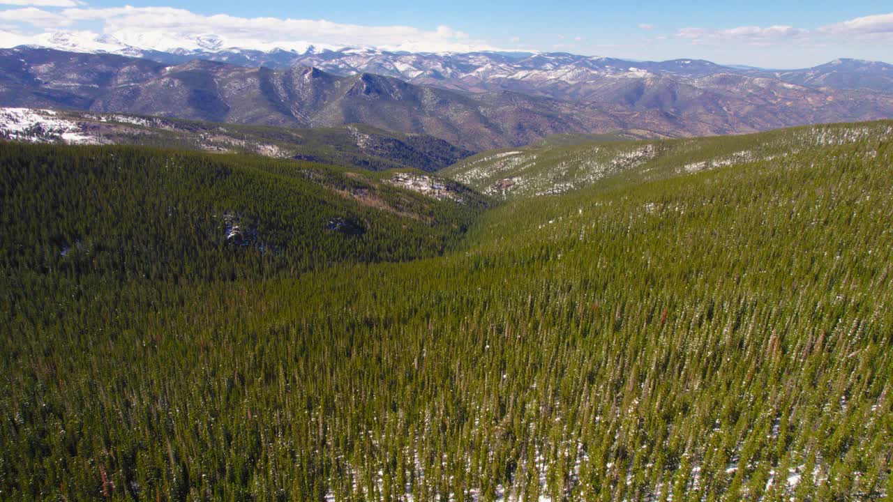 establecimiento de imágenes aéreas volando sobre vastas montañas de bosques de pinos abiertos en las montañas rocosas de colorado en el monte evans