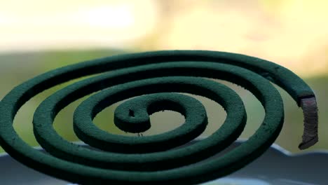 burning green mosquito coil in japanese house. summer season concept video.