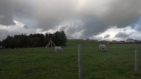 conduciendo en una tarde tormentosa en el campo