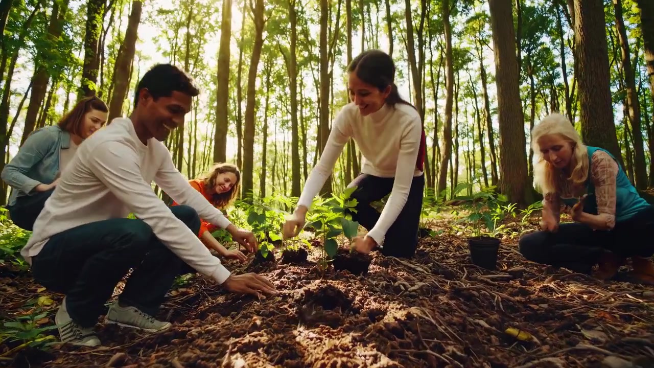 Groupe diversifié de bénévoles plantant de jeunes arbres en forêt