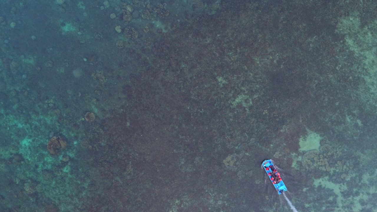 산호초 위 를 항해 하는 사람 들 이 있는 배 의 공중 사진