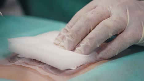 practitioner cleans a wound area using sterile gauze in a medical facility. the careful handling and application of materials ensure proper hygiene. the focus is on patient care and safety.