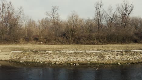 the appearance of the river and forest in the fall