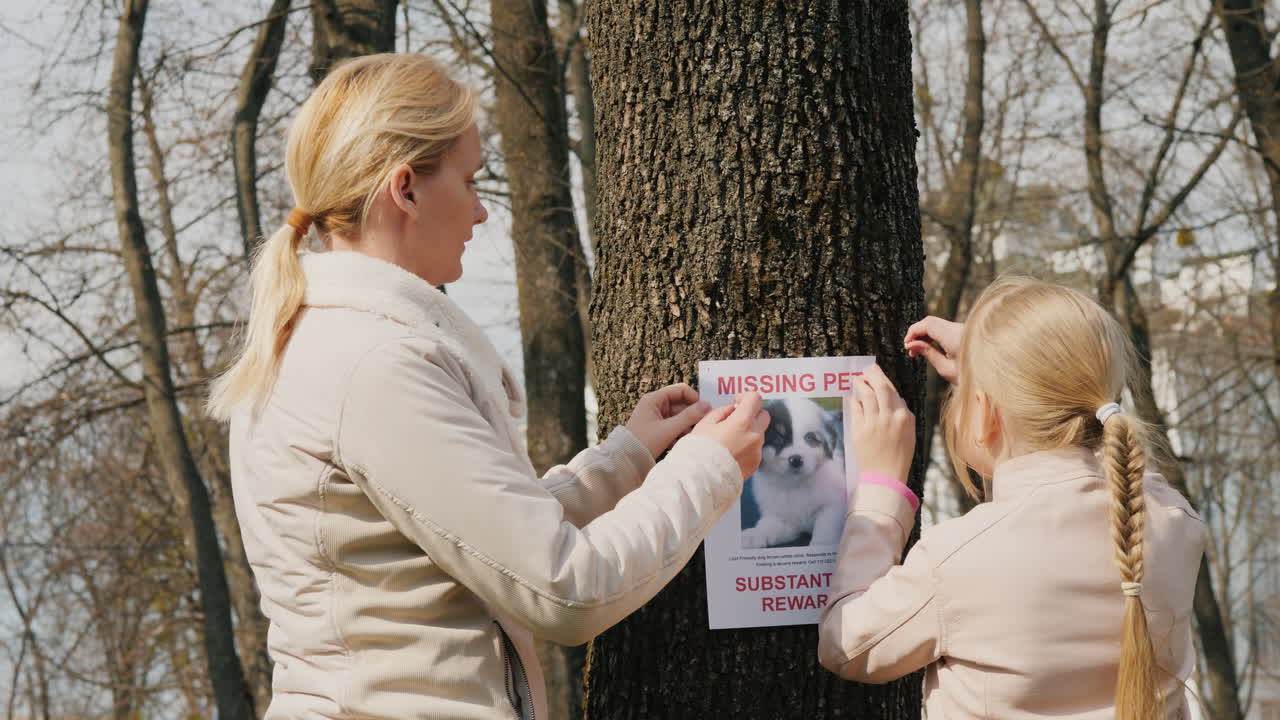 아이를 안고 있는 여성이 실종된 개에 대한 정보가 적힌 포스터를 부착하고 있습니다.