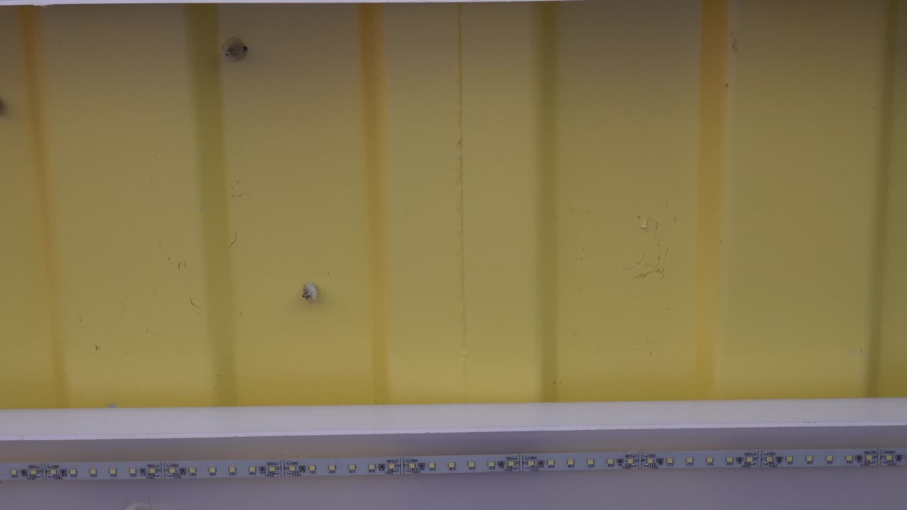 Led bulbs on the ceiling. The location is the container house. Tilt shot from top to bottom.