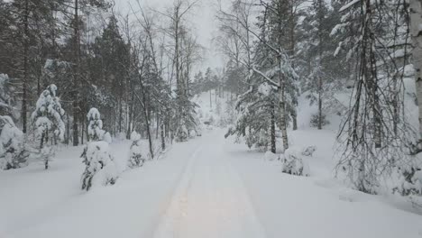 Navigieren-Durch-Eine-Winterliche-Landschaft---POV