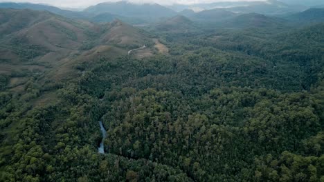 Wilder-Regenwald-Im-Naturschutzgebiet-Franklin-Gordon-Wild-Rivers-Nationalpark-In-Tasmanien,-Australien