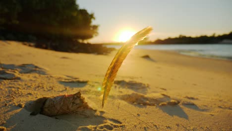 Nahaufnahme-Von-Brennendem-Salbei-Mit-Fleckfeder-Auf-Sand-Mit-Hintergrundbeleuchtung-Bei-Hellem-Sonnenuntergang