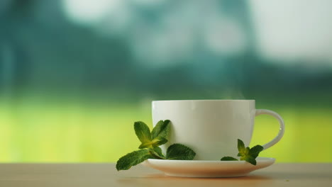 Mint Tea in a White Cup