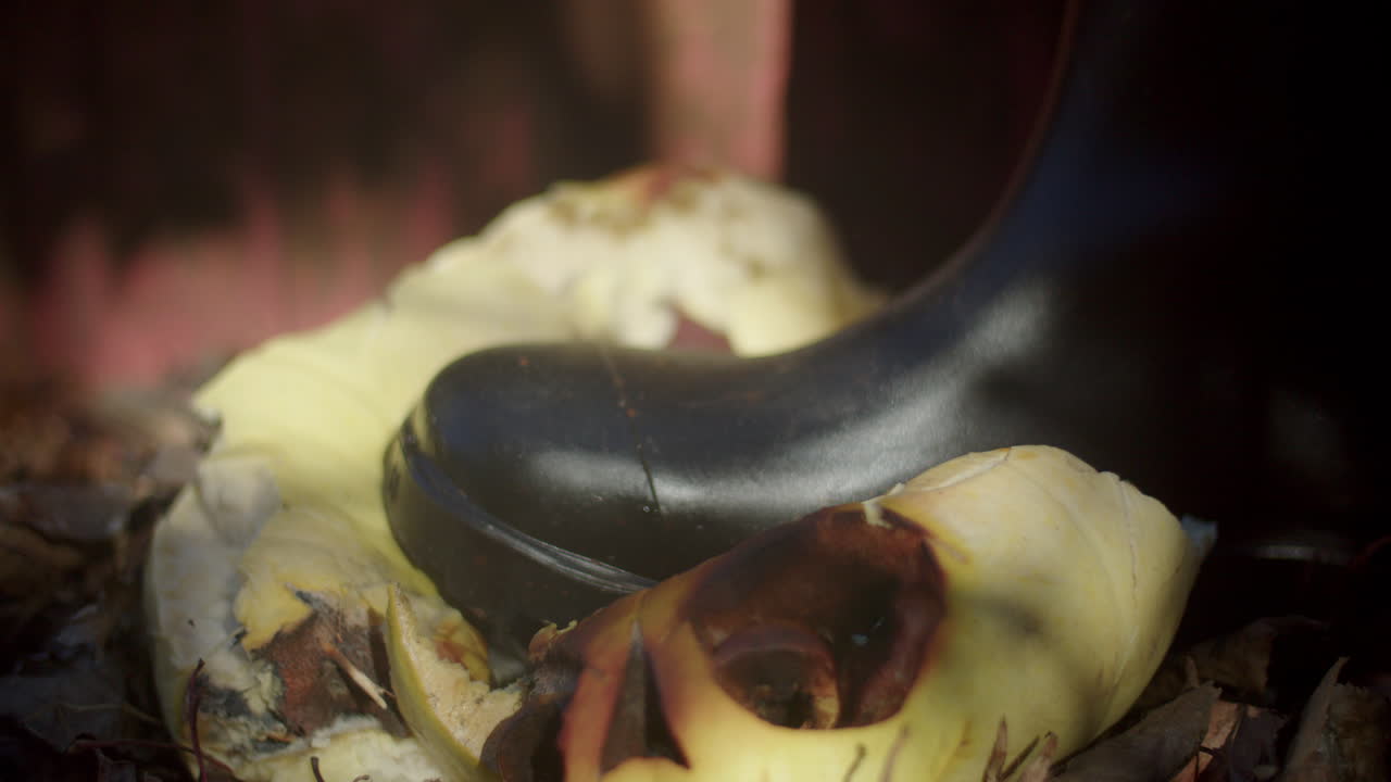 썩은 흰색 할로윈 잭오랜턴이 검은 부츠에 짓눌려