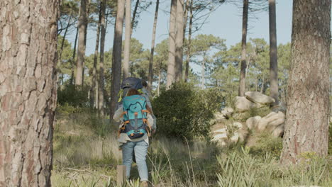 Rückansicht-Von-Zwei-Jungen-Rucksacktouristen,-Die-An-Einem-Sonnigen-Tag-Gemeinsam-Im-Wald-Wandern