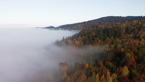 misty clouds canopy colorful treetops of forest mountain during autumn