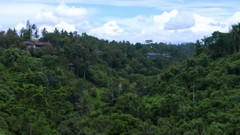 A-Spectacular-and-Peaceful-View-of-Campuhan-Ridge-Walk,-Bali,-Indonesia---Drone-Flying-Forward