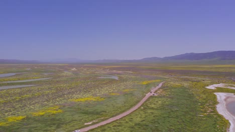vista aérea de pájaro de la llanura de carrizo en california durante la superflor