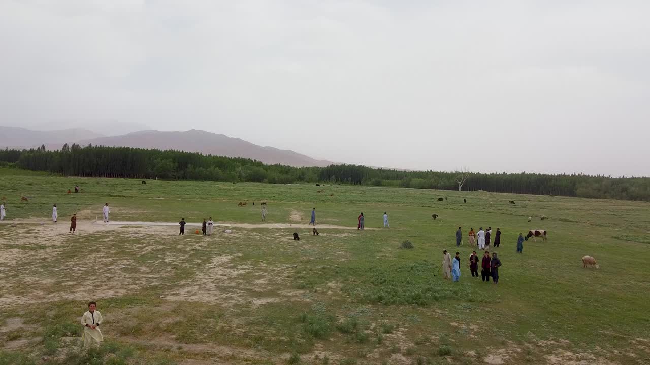 나무 가 자라는 것 1