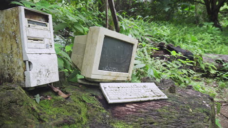 Old-computer-on-a-log-in-the-middle-of-a-wild-forest
