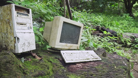 computadora vieja en un registro en medio de un bosque salvaje