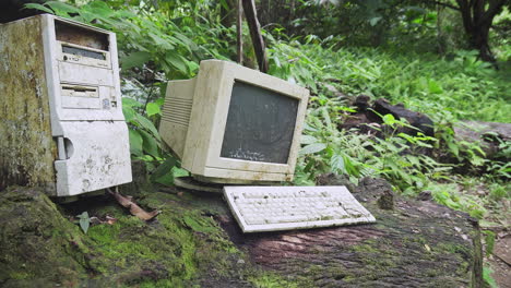 old computer on a log in the middle of a wild forest