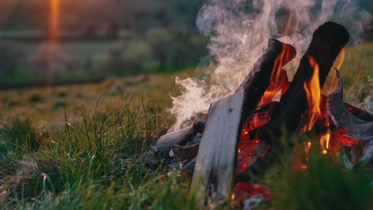 Burning branches in the fire. Bright flame of burning bonfire on nature