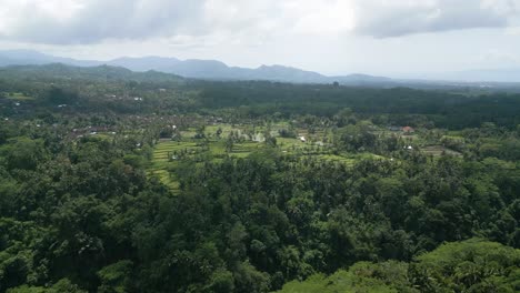aerial drone view of indonesian plantation in gianyar, bali