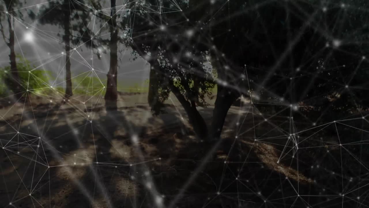 건강 한 생활 방식 과 신체 활동