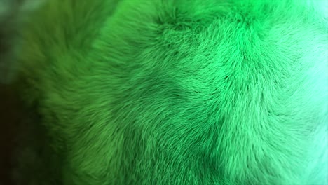 green fur texture