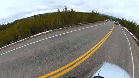 cámara de 360 grados conduciendo por un largo camino cubierto de pinos o arbolado posiblemente a través del parque nacional de yellowstone