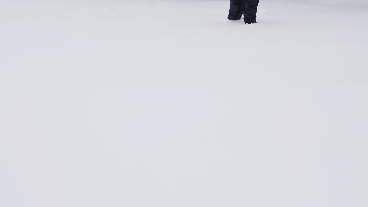 glubokom 스낵 종류의 sverhu에서 즐거운 시간을 보내는 사람들