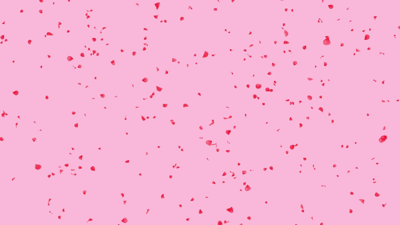 Red rose petals rain falling on green screen romantic decoration of web greeting cards love