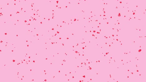 red rose petals rain falling on green screen romantic decoration of web greeting cards love