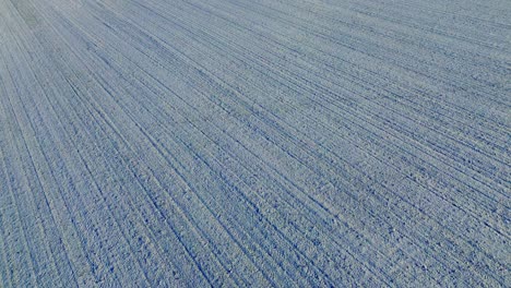 Aerial-Texture-of-Snow-Blanketed-Farmland-in-Winter