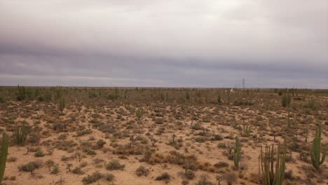 low flight over the desert