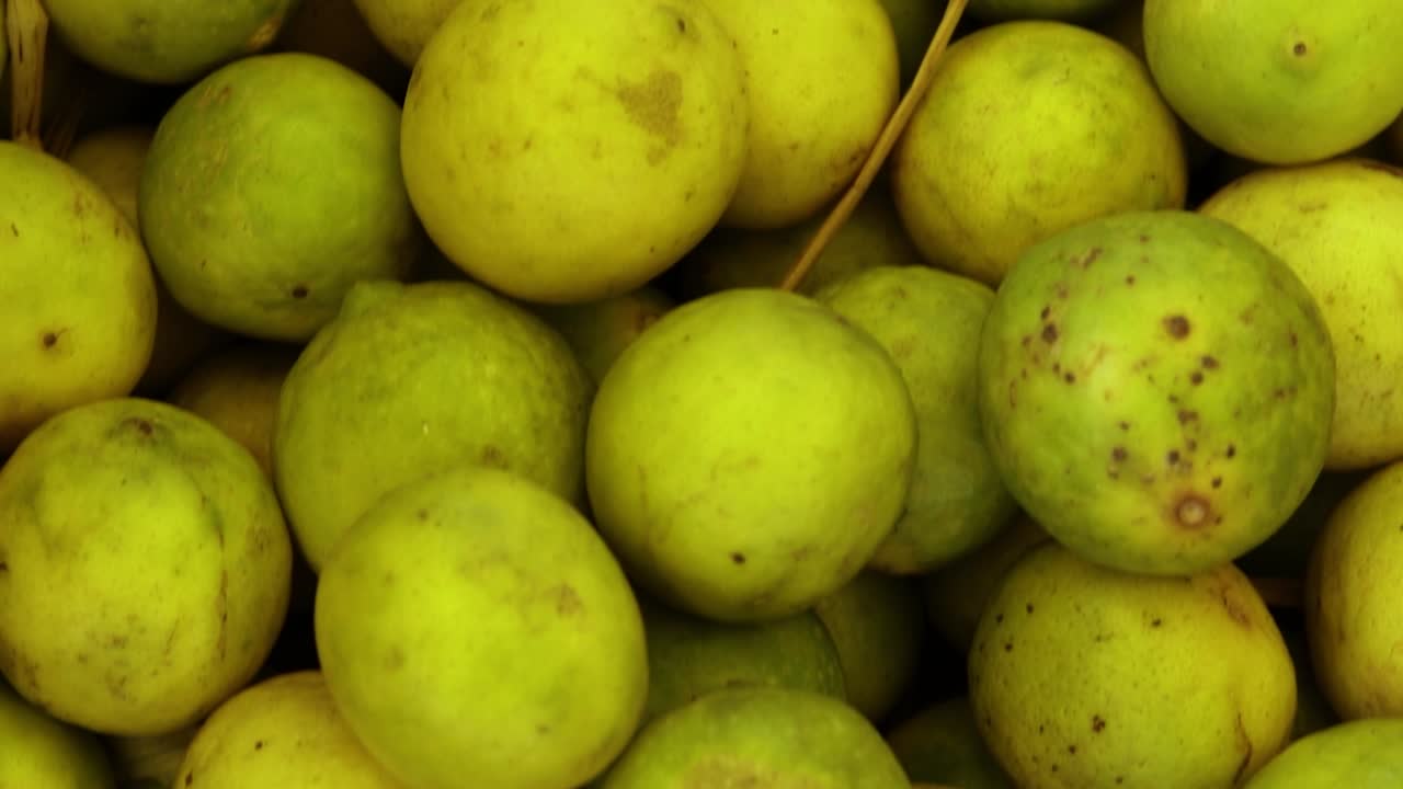 limones orgánicos frescos de la granja de cerca desde diferentes ángulos
