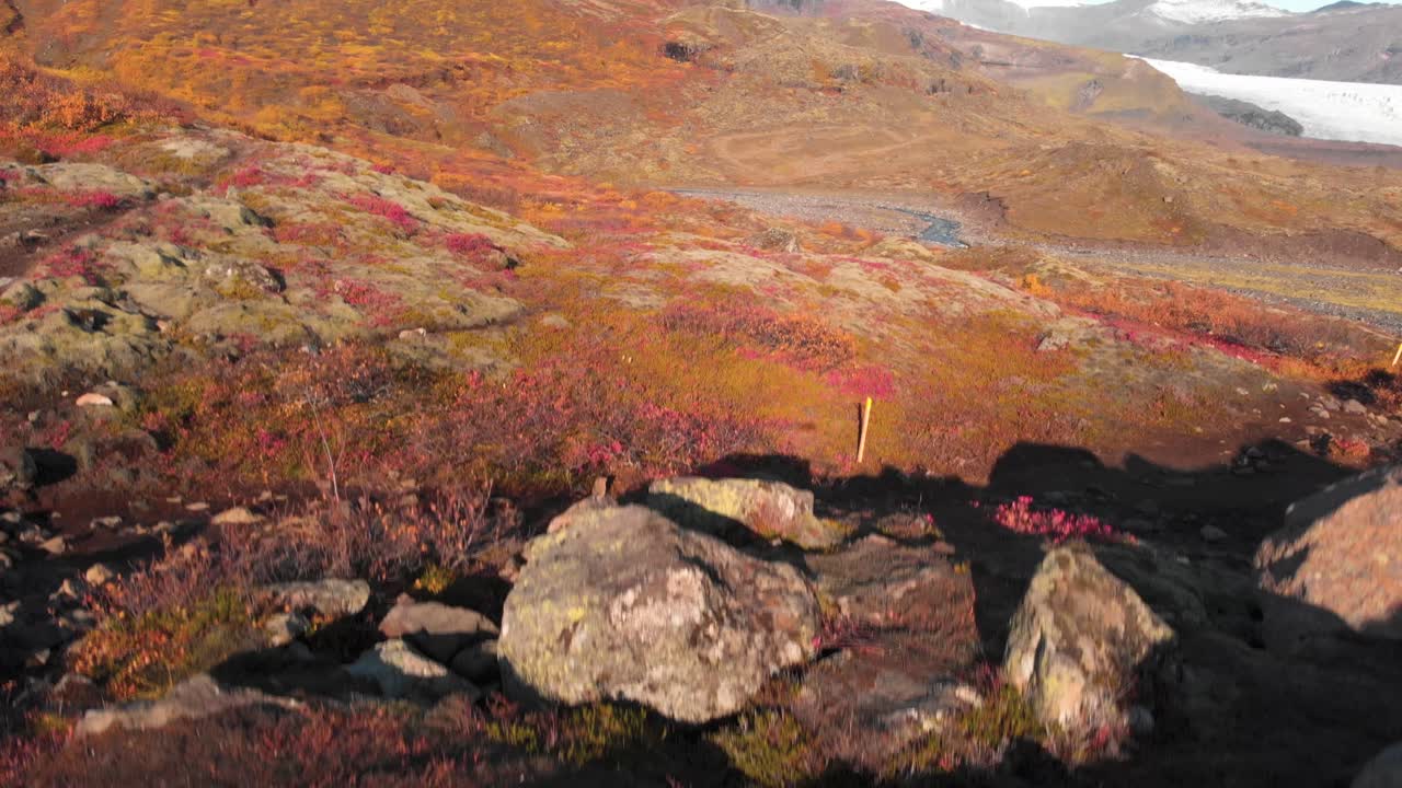 Rødlig efterårshede på de stenede skråninger i Mulagljúfur-kløften på Island