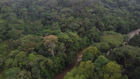 drone view of flowing river in tropical amazoni green rainforest, 4k shot