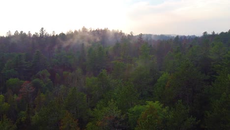 Horizonte-Del-Amanecer-En-El-Bosque-Quemado-Después-De-Incendios-Forestales-En-El-Paisaje-De-Toronto,-Canadá