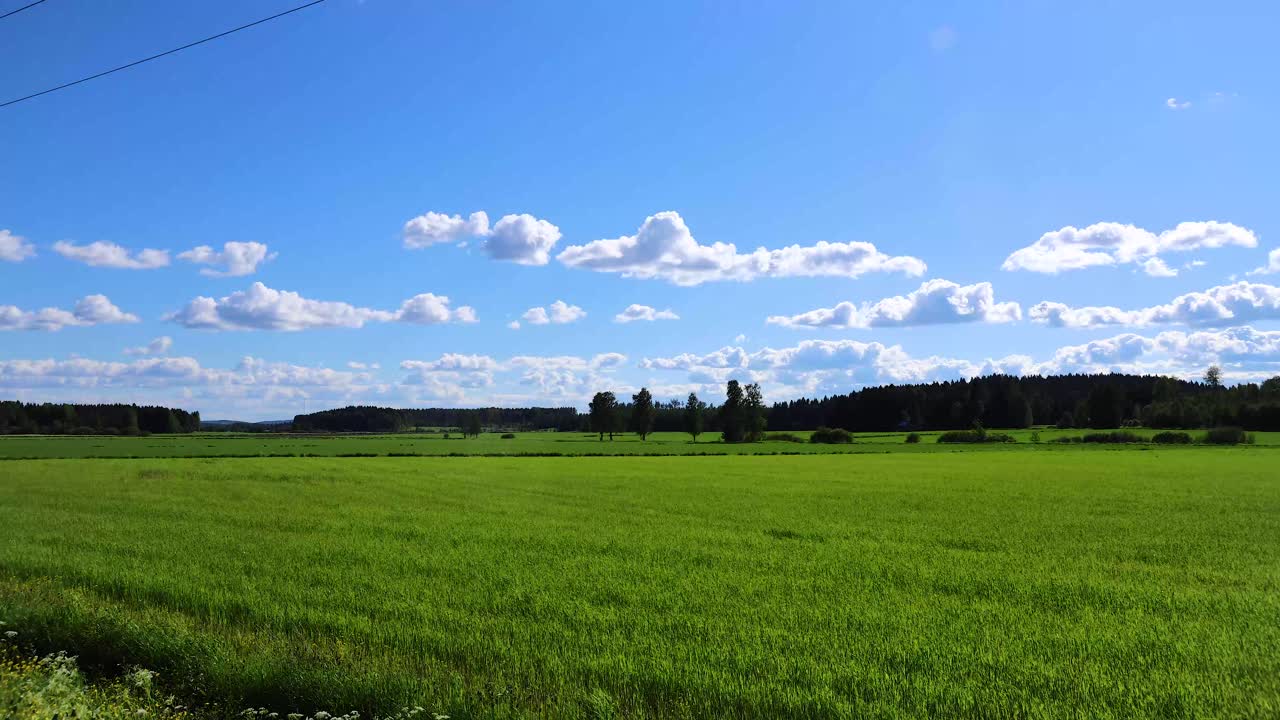 lapso de tiempo sobre prados verdes con bosques en la distancia y nubes blancas deslizándose en el cielo