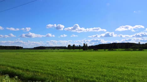 綠色草原上有森林,遠處有白色雲<unk>滑過天空