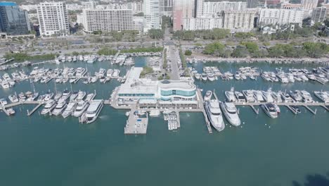 elevate your view: a reverse dolly shot rises above the vibrant marina on a bright and sunny day, creating a breathtaking aerial perspective