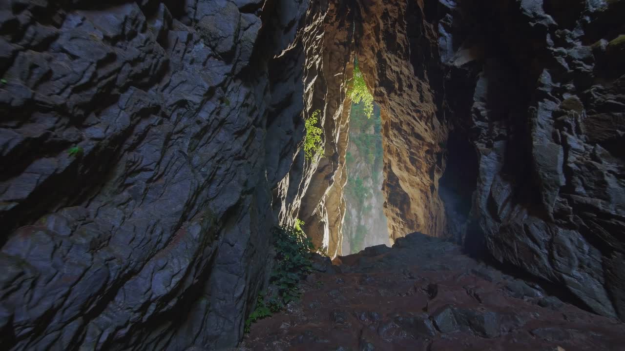 Un video dal basso cattura l'ingresso di una grotta illuminata dal sole circondato da una vegetazione lussureggiante