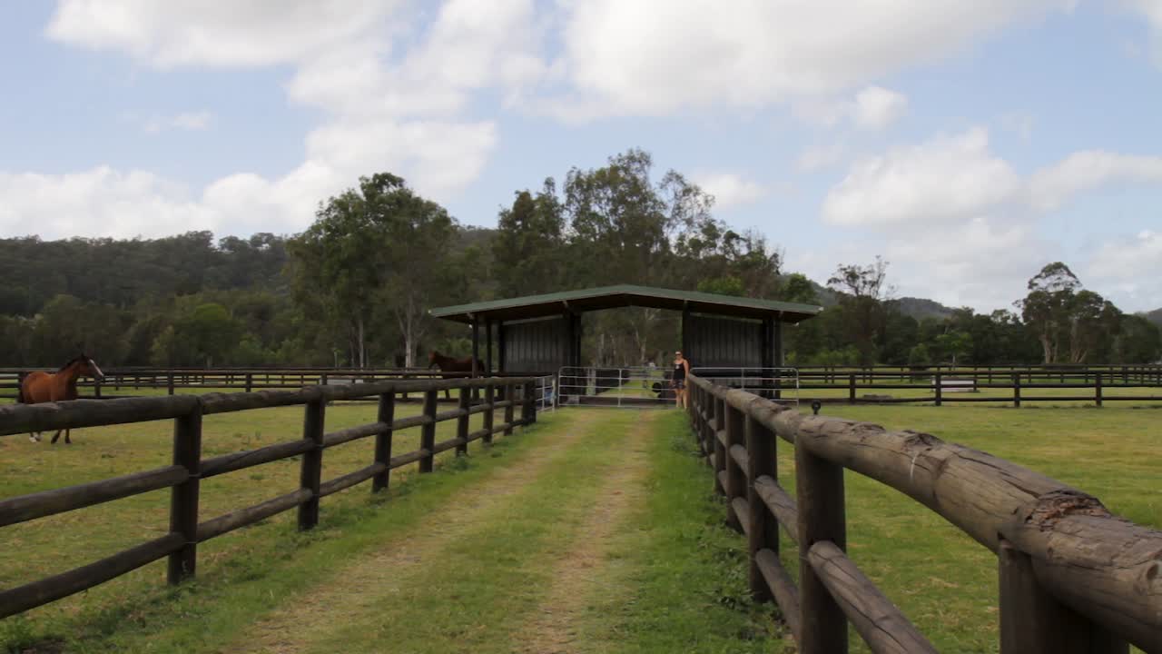 un gran caballo marrón corriendo a lo largo de una cerca