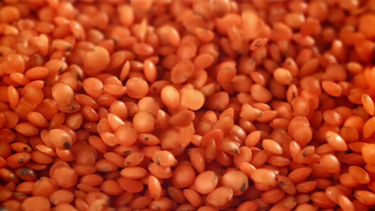 Gros plan de lentilles corail tombant et se déposant