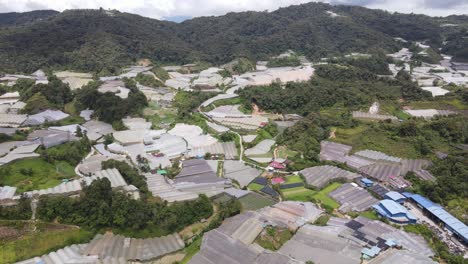 general landscape view of the brinchang district within the cameron highlands area of malaysia