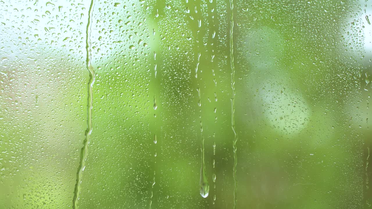 Nature water rainfall, rain drops texture on window glass, blurred green trees