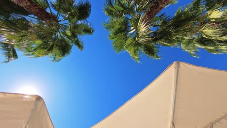 relaxing poolside scene under white umbrellas
